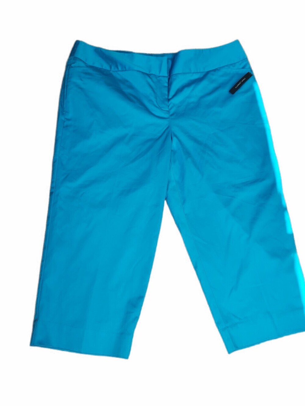 Worthington Modern Fit Bermuda Shorts – Bright Turquoise | Size 18W | NWT